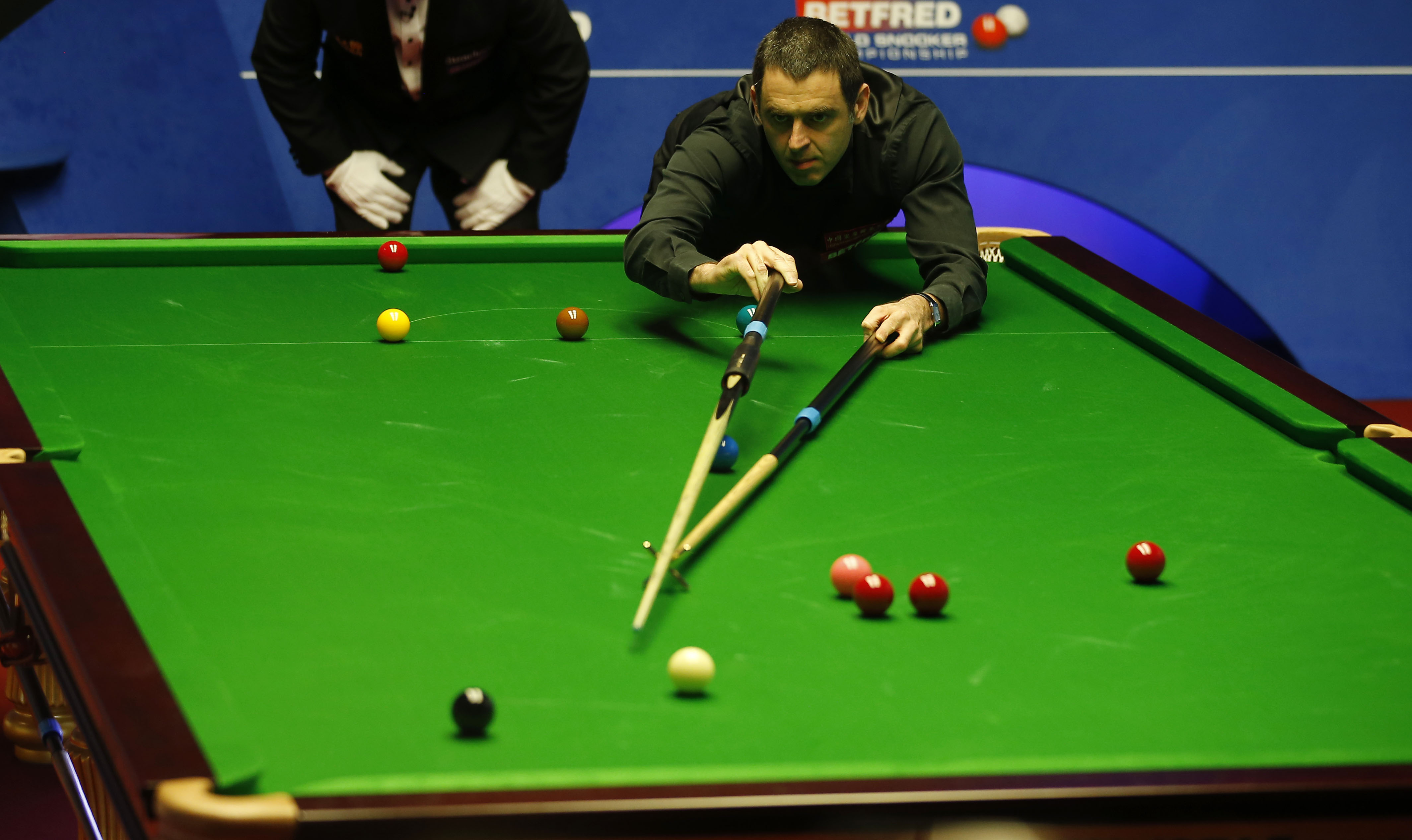 未来在类似 未来在类似